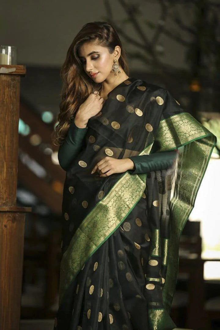 Black Handwoven Chanderi Silk Saree