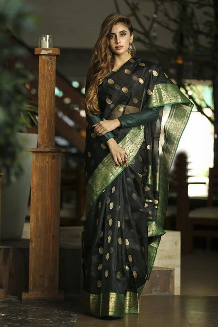 Black Handwoven Chanderi Silk Saree