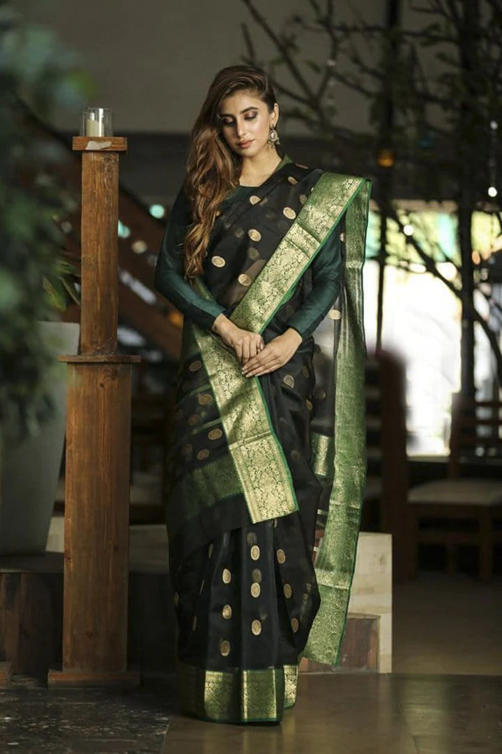 Black Handwoven Chanderi Silk Saree