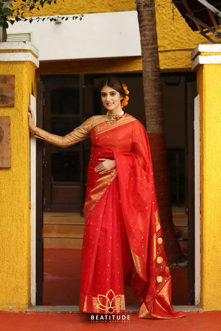 Red Handwoven Chanderi Silk Saree