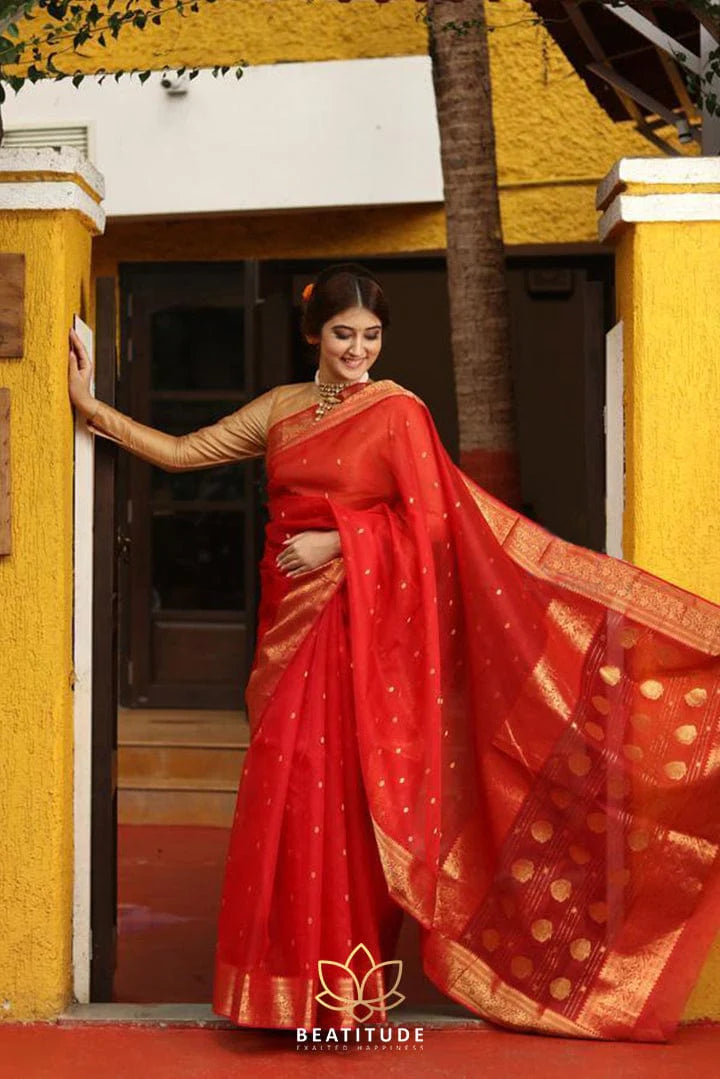 Red Handwoven Chanderi Silk Saree